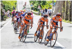 可以留电话的骚扰网站